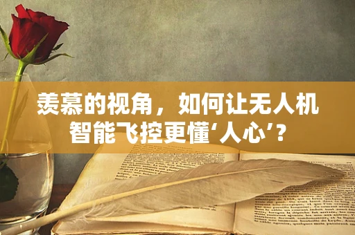 羡慕的视角，如何让无人机智能飞控更懂‘人心’？