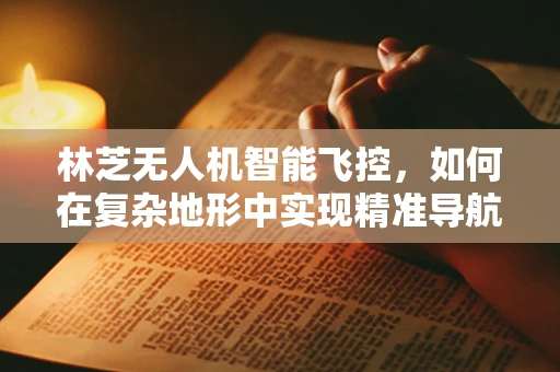 林芝无人机智能飞控，如何在复杂地形中实现精准导航？