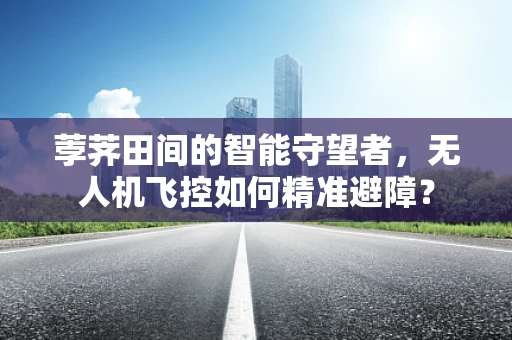 荸荠田间的智能守望者，无人机飞控如何精准避障？