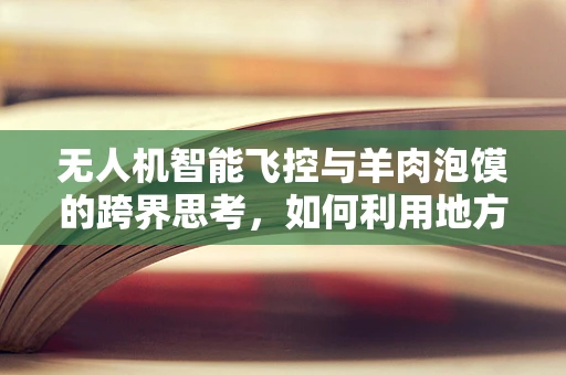 无人机智能飞控与羊肉泡馍的跨界思考，如何利用地方特色优化飞行路径？