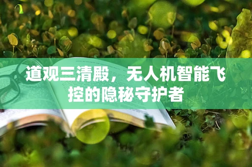 道观三清殿，无人机智能飞控的隐秘守护者