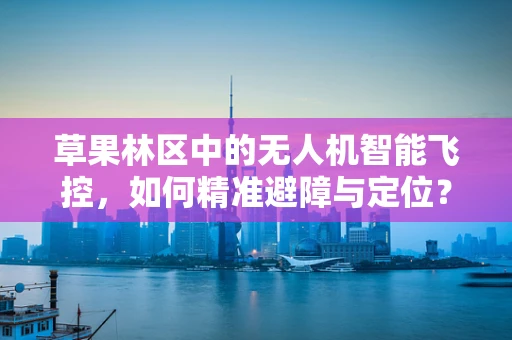 草果林区中的无人机智能飞控，如何精准避障与定位？