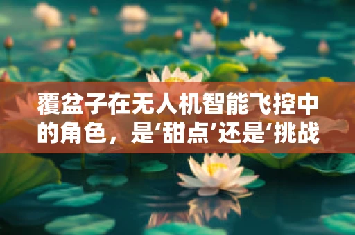 覆盆子在无人机智能飞控中的角色，是‘甜点’还是‘挑战’？