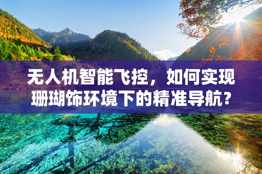 无人机智能飞控，如何实现珊瑚饰环境下的精准导航？