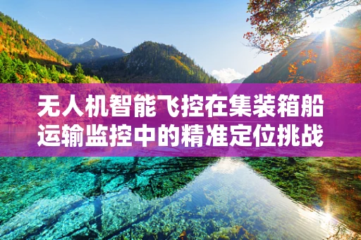 无人机智能飞控在集装箱船运输监控中的精准定位挑战