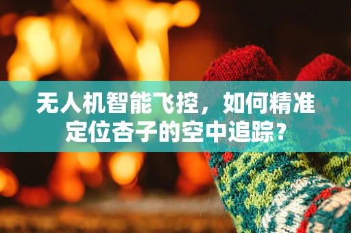 无人机智能飞控，如何精准定位杏子的空中追踪？