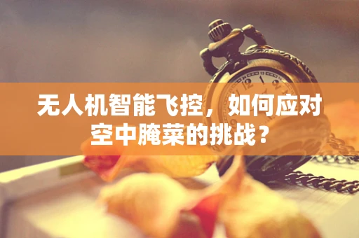 无人机智能飞控，如何应对空中腌菜的挑战？