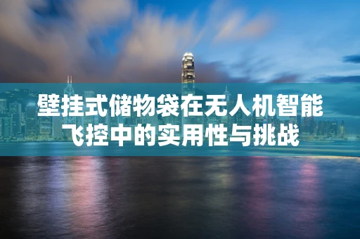 壁挂式储物袋在无人机智能飞控中的实用性与挑战