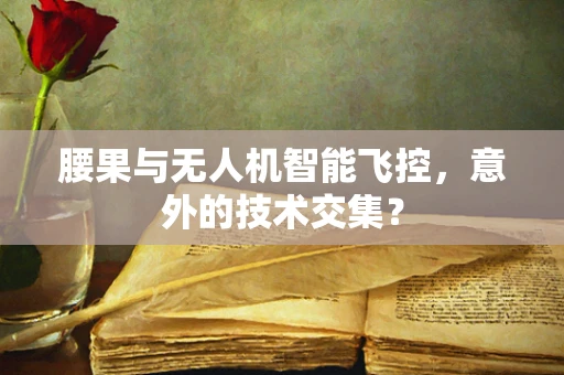 腰果与无人机智能飞控，意外的技术交集？