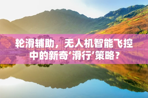 轮滑辅助，无人机智能飞控中的新奇‘滑行’策略？