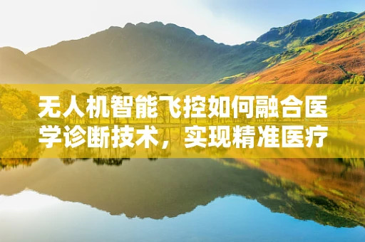 无人机智能飞控如何融合医学诊断技术，实现精准医疗的空中新纪元？