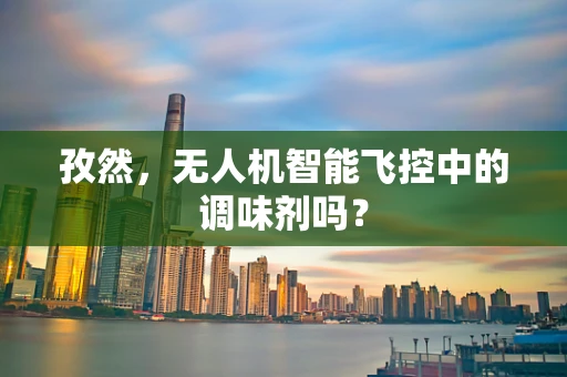 孜然，无人机智能飞控中的调味剂吗？