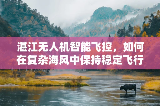 湛江无人机智能飞控，如何在复杂海风中保持稳定飞行？