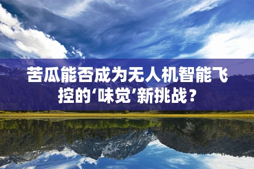 苦瓜能否成为无人机智能飞控的‘味觉’新挑战？
