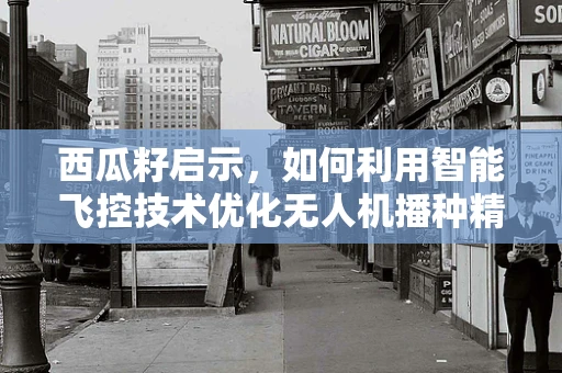 西瓜籽启示，如何利用智能飞控技术优化无人机播种精准度？