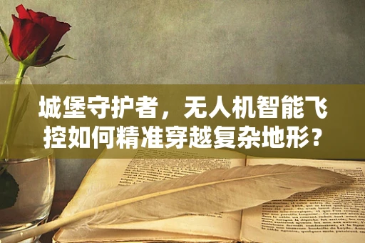 城堡守护者，无人机智能飞控如何精准穿越复杂地形？