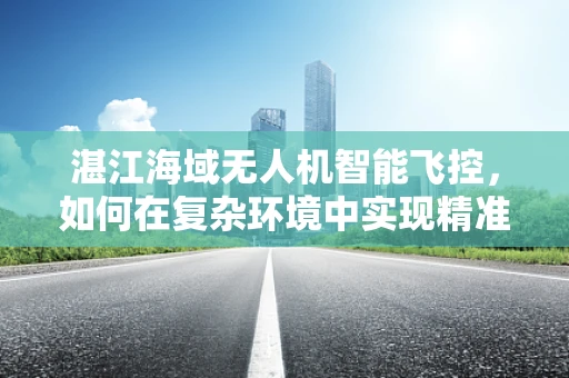 湛江海域无人机智能飞控，如何在复杂环境中实现精准导航？