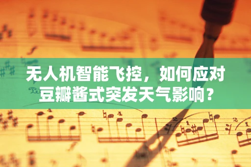 无人机智能飞控，如何应对豆瓣酱式突发天气影响？