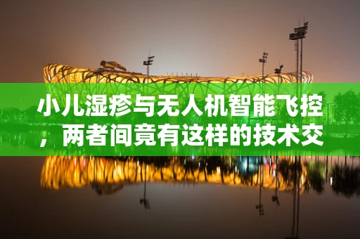 小儿湿疹与无人机智能飞控，两者间竟有这样的技术交集？