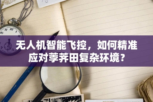 无人机智能飞控，如何精准应对荸荠田复杂环境？