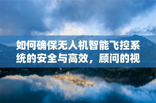 如何确保无人机智能飞控系统的安全与高效，顾问的视角