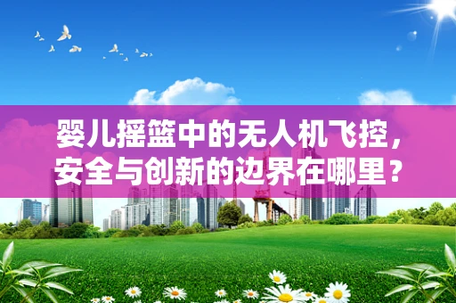 婴儿摇篮中的无人机飞控，安全与创新的边界在哪里？