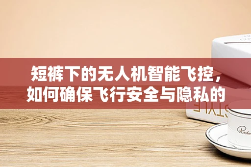 短裤下的无人机智能飞控，如何确保飞行安全与隐私的平衡？