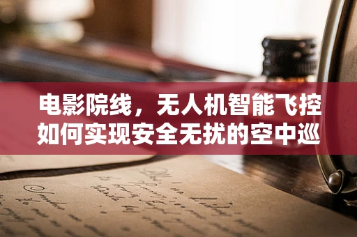 电影院线，无人机智能飞控如何实现安全无扰的空中巡检？