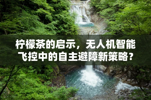 柠檬茶的启示，无人机智能飞控中的自主避障新策略？