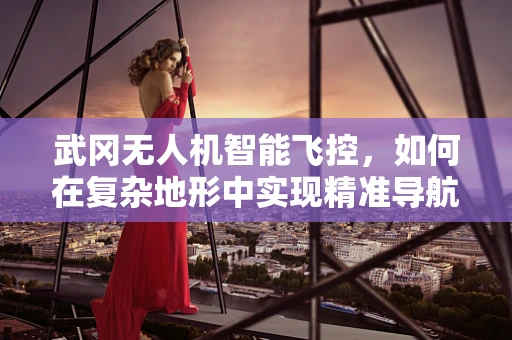 武冈无人机智能飞控，如何在复杂地形中实现精准导航？