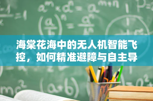 海棠花海中的无人机智能飞控，如何精准避障与自主导航？