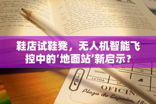 鞋店试鞋凳，无人机智能飞控中的‘地面站’新启示？
