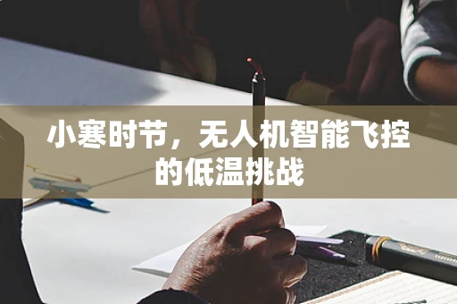 小寒时节，无人机智能飞控的低温挑战