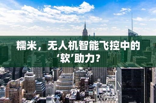 糯米，无人机智能飞控中的‘软’助力？