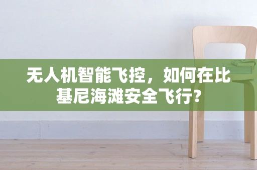 无人机智能飞控，如何在比基尼海滩安全飞行？