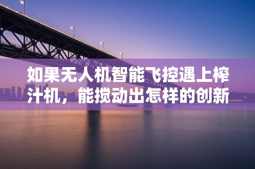 如果无人机智能飞控遇上榨汁机，能搅动出怎样的创新风暴？