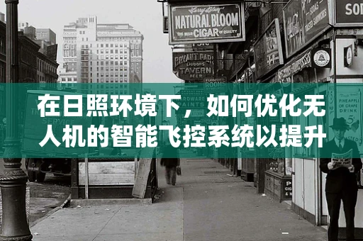 在日照环境下，如何优化无人机的智能飞控系统以提升飞行稳定性？