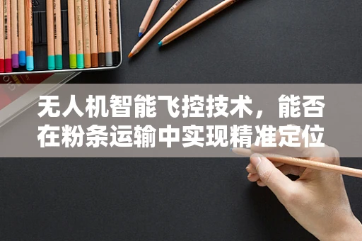 无人机智能飞控技术，能否在粉条运输中实现精准定位？