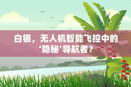 白银，无人机智能飞控中的‘隐秘’导航者？