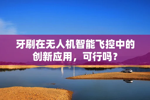 牙刷在无人机智能飞控中的创新应用，可行吗？