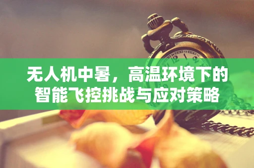 无人机中暑，高温环境下的智能飞控挑战与应对策略