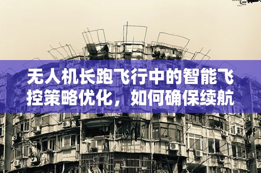 无人机长跑飞行中的智能飞控策略优化，如何确保续航与稳定？