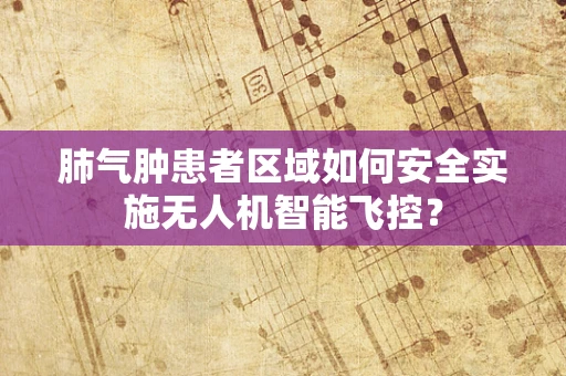 肺气肿患者区域如何安全实施无人机智能飞控？