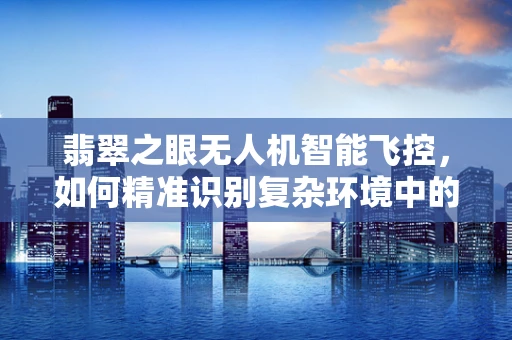 翡翠之眼无人机智能飞控，如何精准识别复杂环境中的绿色迷彩？