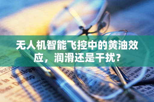 无人机智能飞控中的黄油效应，润滑还是干扰？