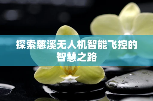 探索慈溪无人机智能飞控的智慧之路