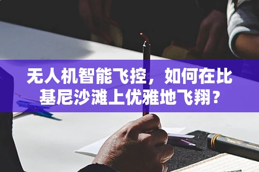 无人机智能飞控，如何在比基尼沙滩上优雅地飞翔？