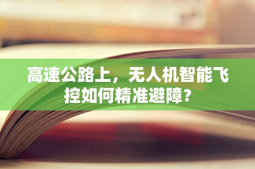 高速公路上，无人机智能飞控如何精准避障？