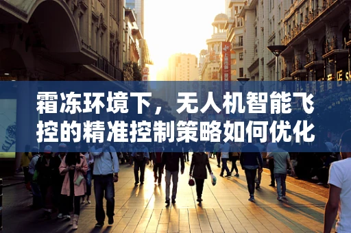 霜冻环境下，无人机智能飞控的精准控制策略如何优化？
