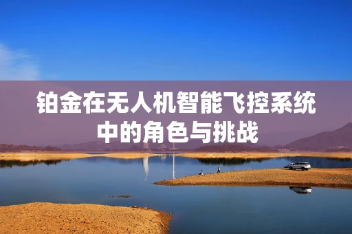 铂金在无人机智能飞控系统中的角色与挑战